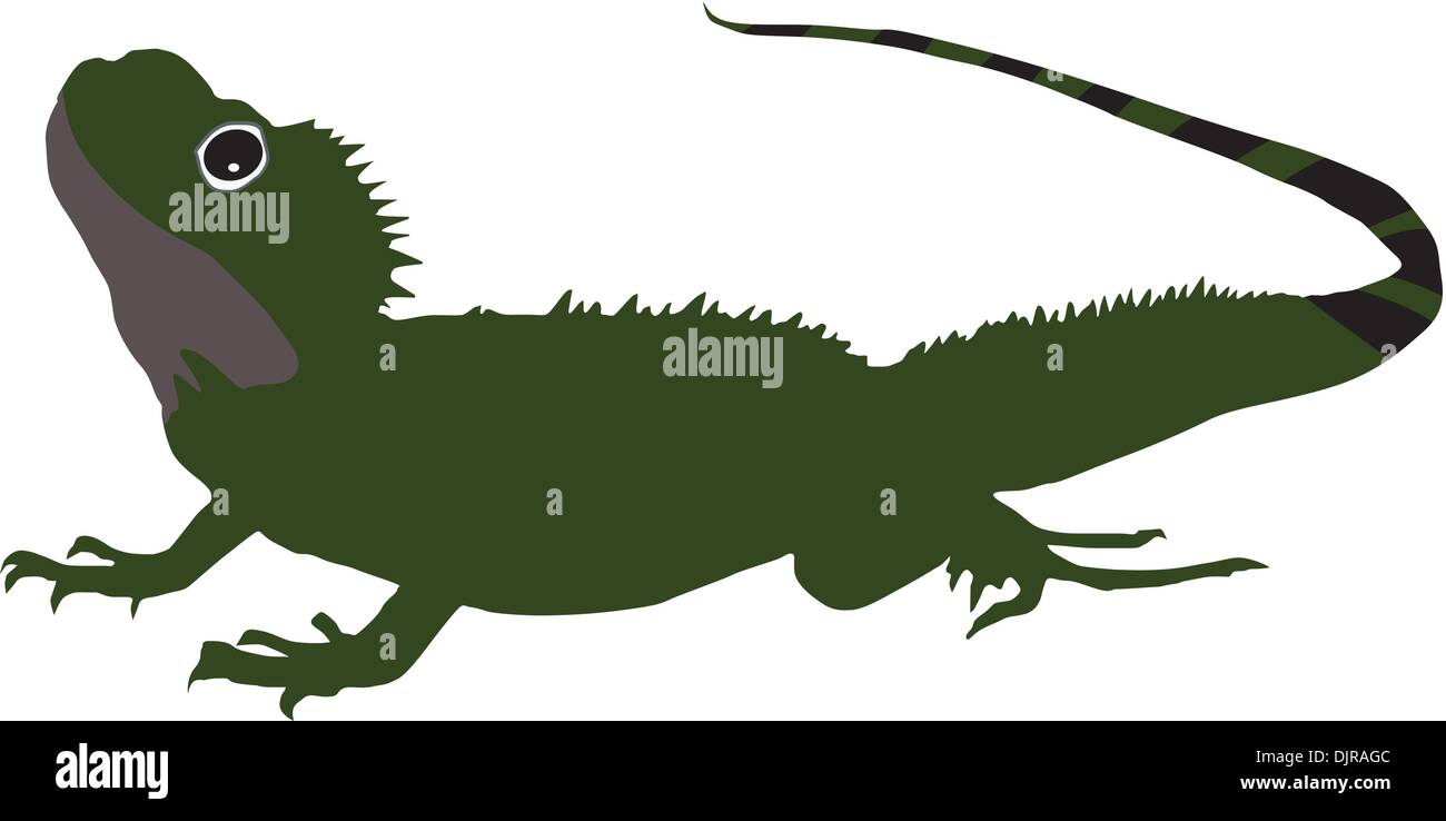 Salamandre Illustration de Vecteur