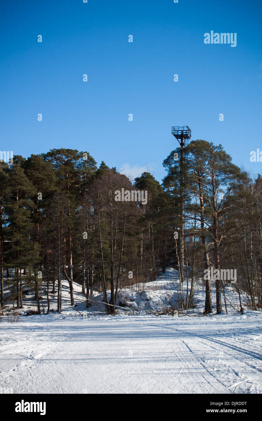 Paysage hiver neige pinède enneigée route 'copie' de l'espace vertical ciel bleu Banque D'Images