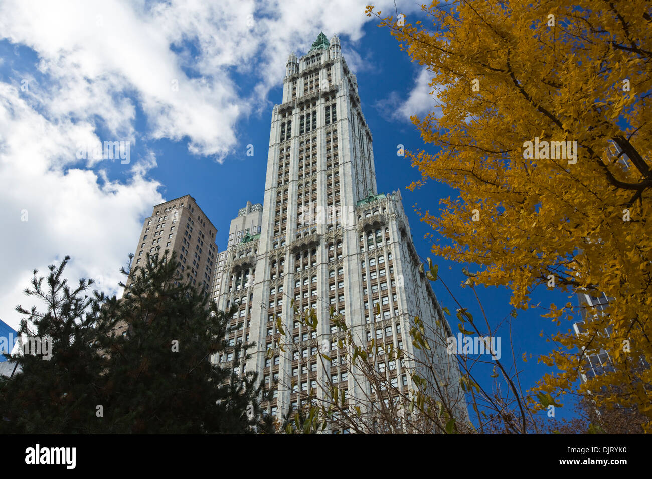 NEW YORK, 19 Novembre 2013 : Woolworth Building, New York City, USA Banque D'Images