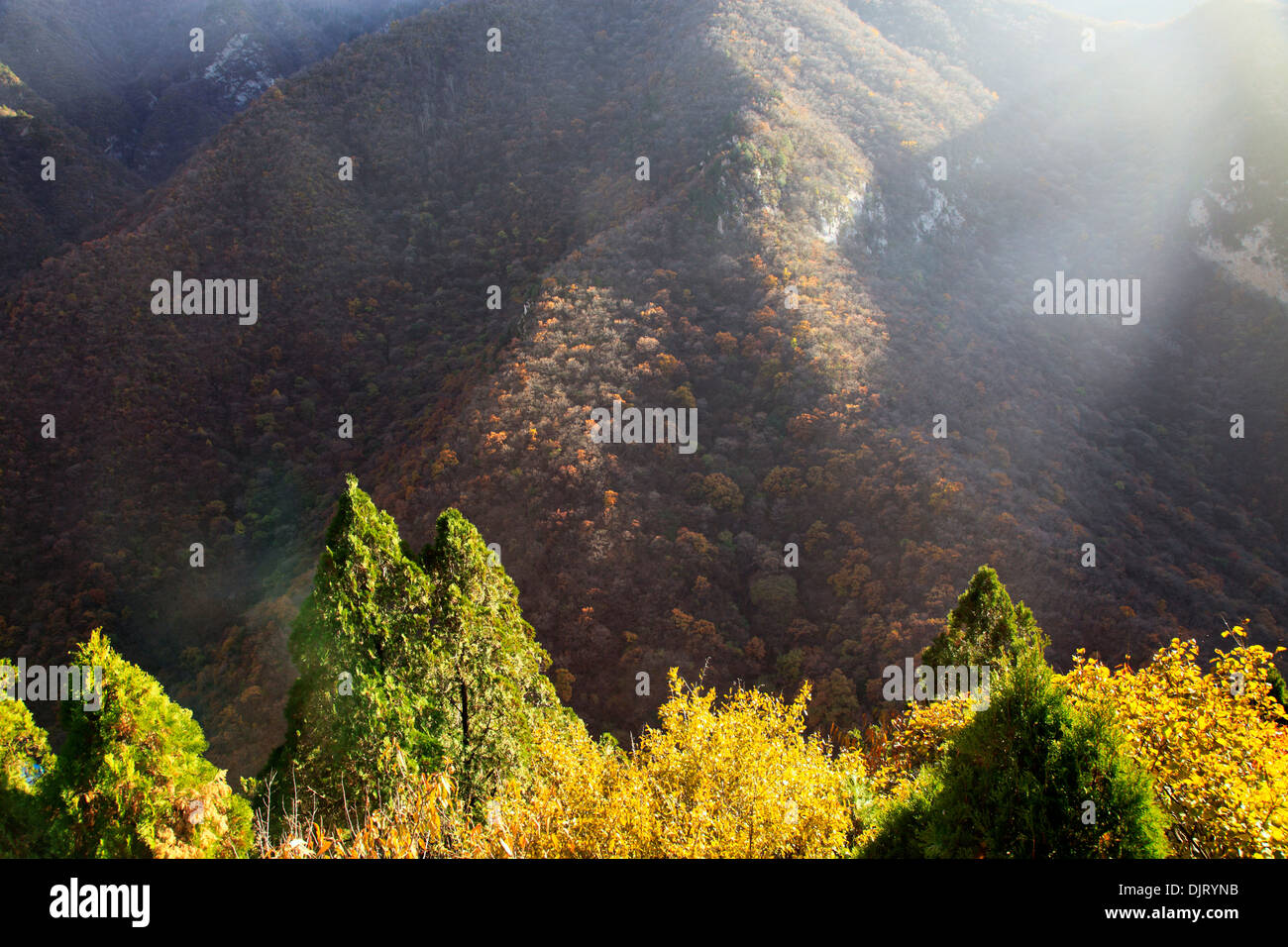 Mian Mian Shan (montagne), près de Pingyao, Shanxi, Chine Banque D'Images