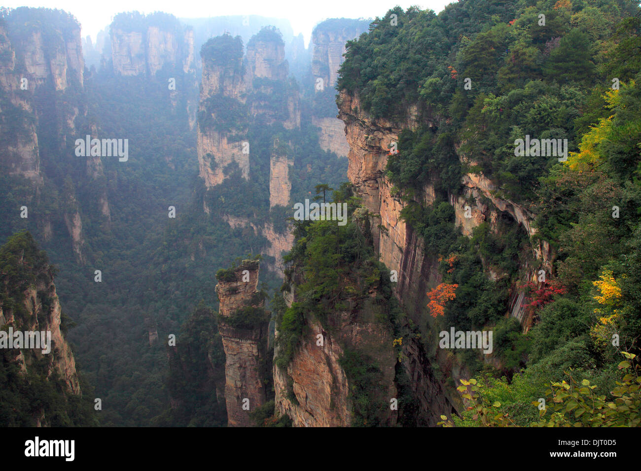 Parc forestier national de Zhangjiajie, Hunan, Chine Banque D'Images