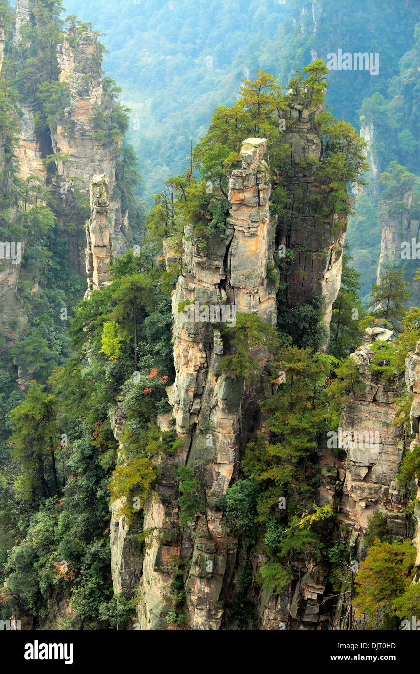 Parc forestier national de Zhangjiajie, Hunan, Chine Banque D'Images