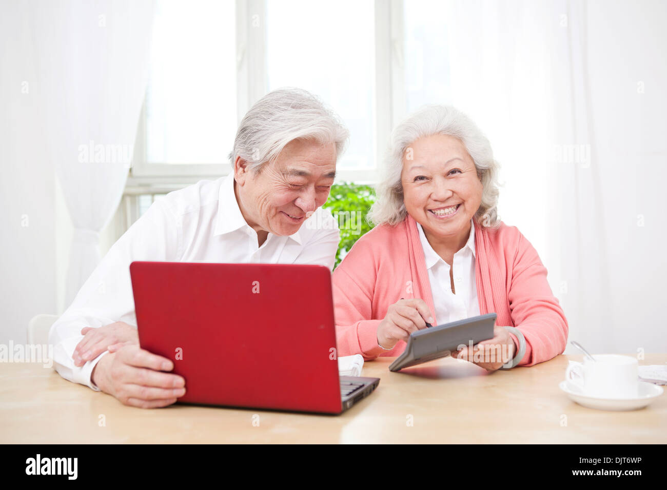 Senior couple using laptop Banque D'Images
