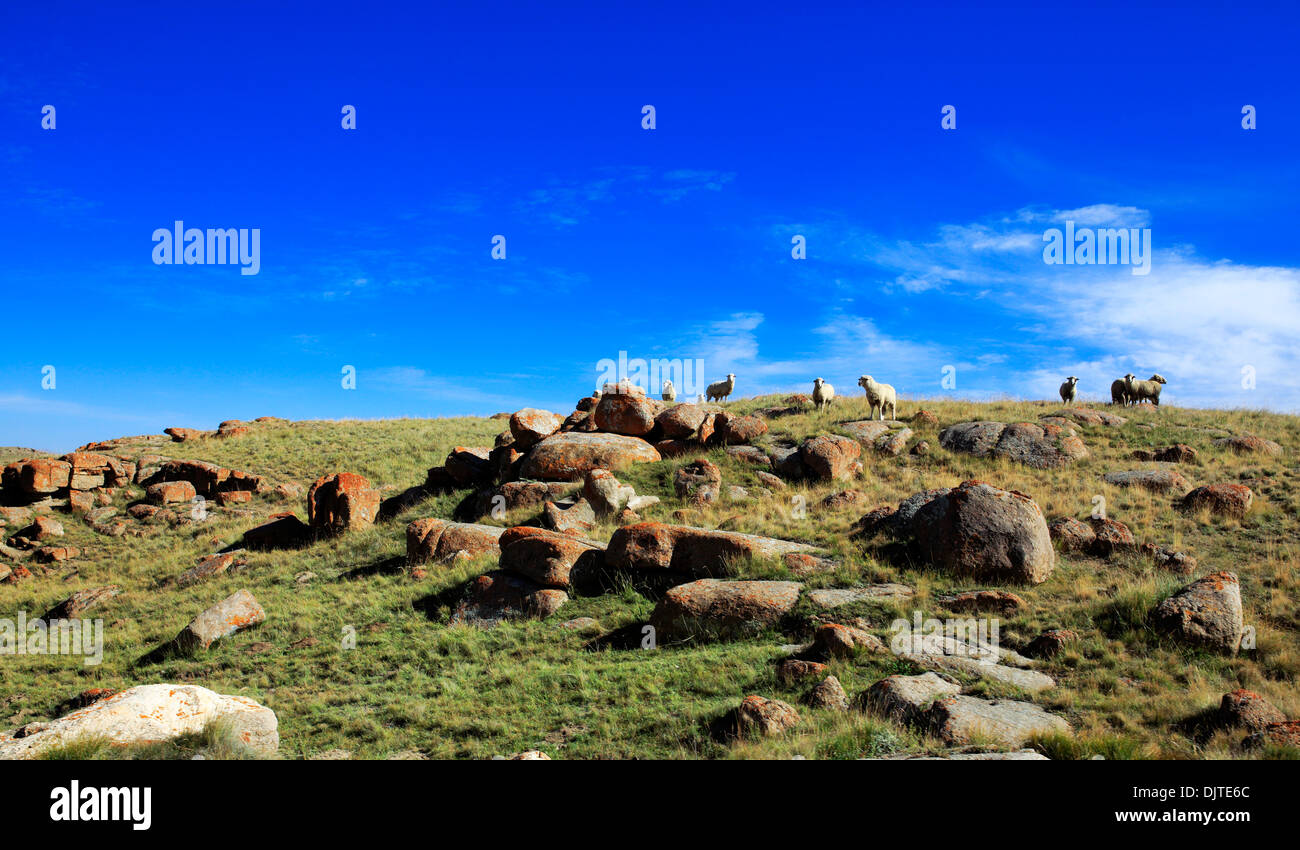 Route vers le lac Kol chanson, l'oblast de Naryn, Kirghizistan Banque D'Images Route vers le lac Kol chanson, l'oblast de Naryn, Kirghizistan Banque D'Images