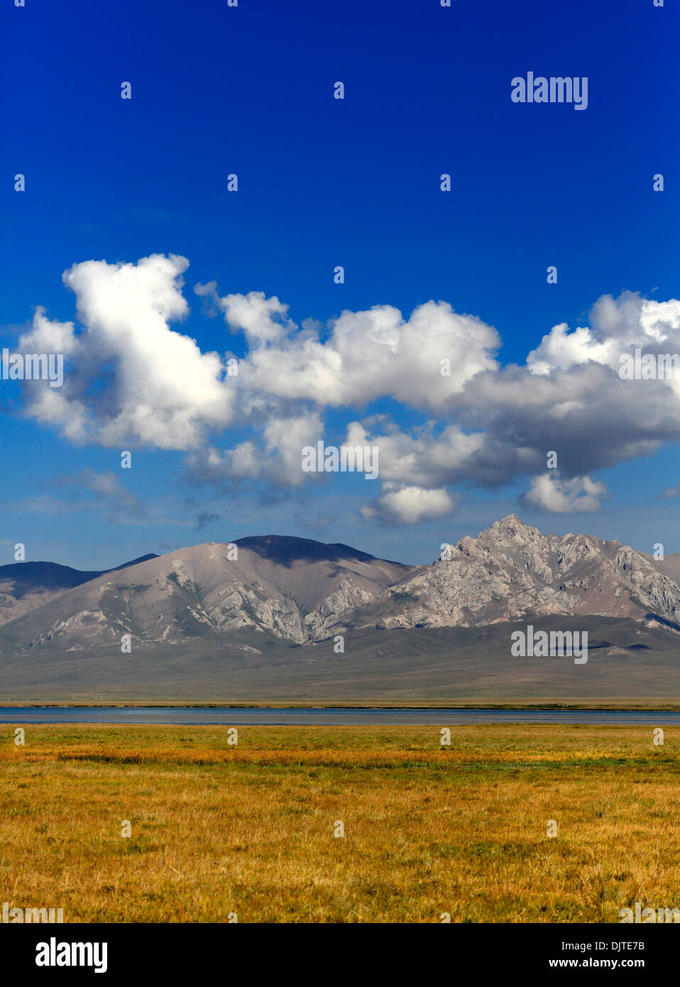Chanson du lac Kol, l'oblast de Naryn, Kirghizistan Banque D'Images