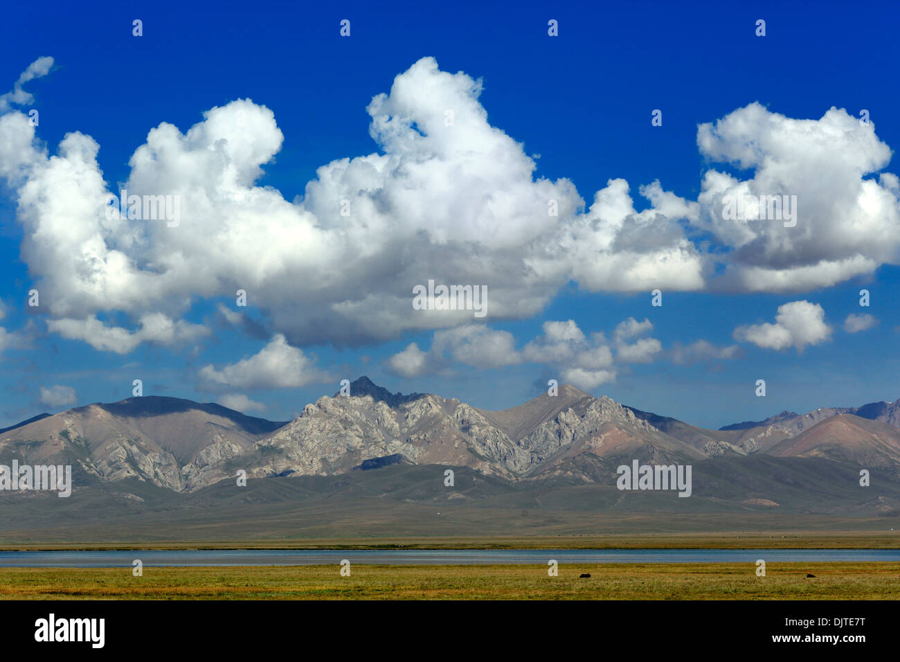 Chanson du lac Kol, l'oblast de Naryn, Kirghizistan Banque D'Images