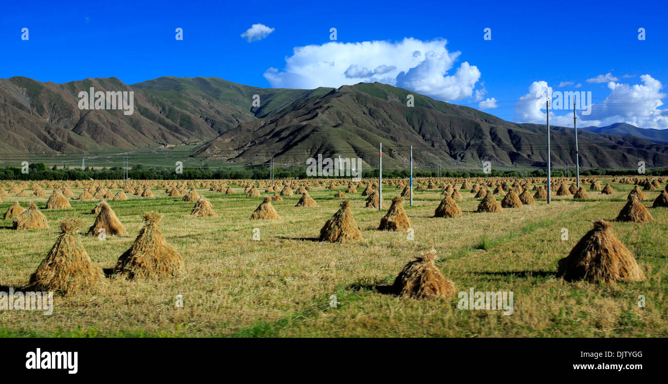 Yarlung Tsangpo (Brahmapoutre) River Valley, entre col Kamba et Tsetang, Lhoka (préfecture de Shannan), Tibet, Chine Banque D'Images