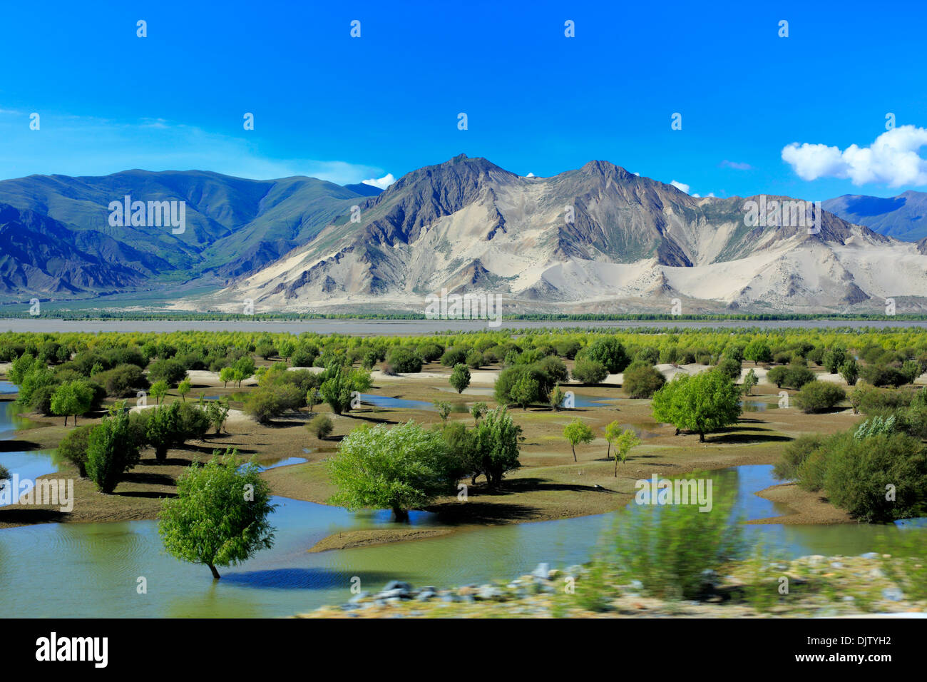 Yarlung Tsangpo (Brahmapoutre) River Valley, entre col Kamba et Tsetang, Lhoka (préfecture de Shannan), Tibet, Chine Banque D'Images