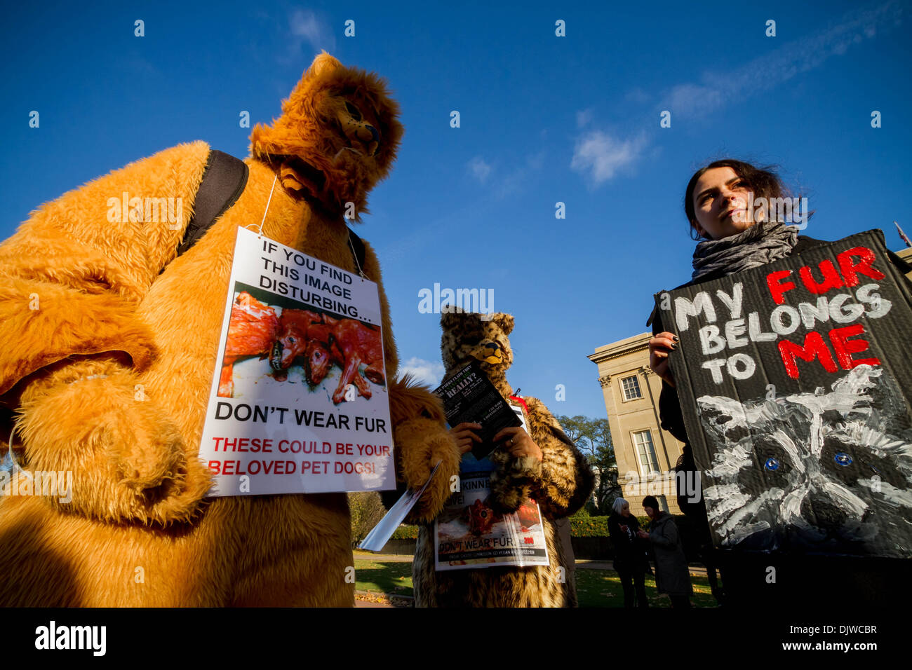 Anti-Fur Coalition pour les droits des animaux protester à Londres Banque D'Images