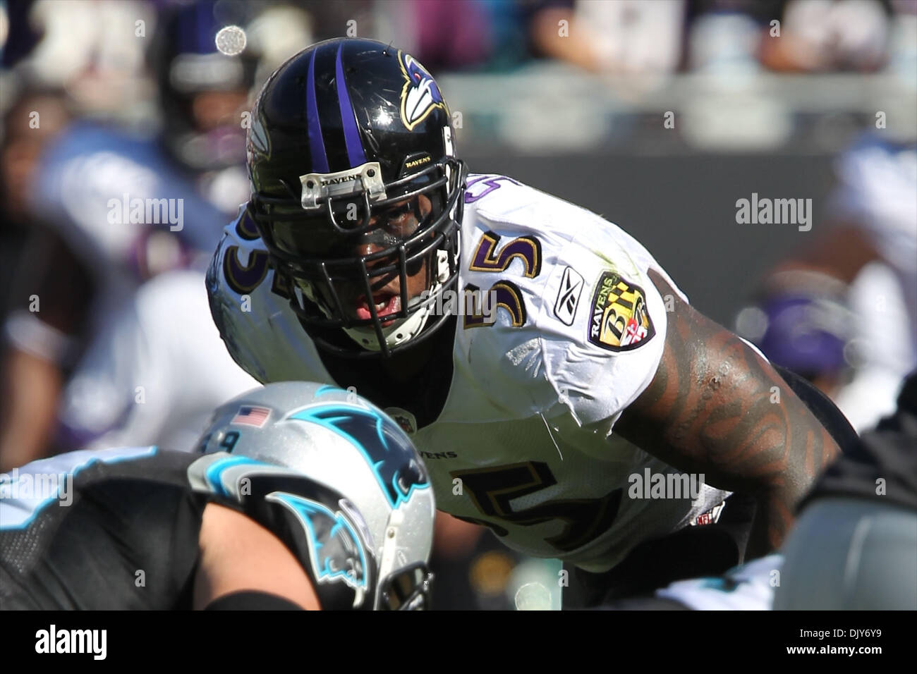 21 novembre, 2010 ; Baltimore Ravens secondeur Terrell Suggs (55) au stade Bank of America à Charlotte, NC. Score à la moitié est du Corbeau 17 - Caroline 3. Jim Dedmon/CSM(Image Crédit : © Jim Dedmon/Cal/ZUMAPRESS.com) Media Sport Banque D'Images