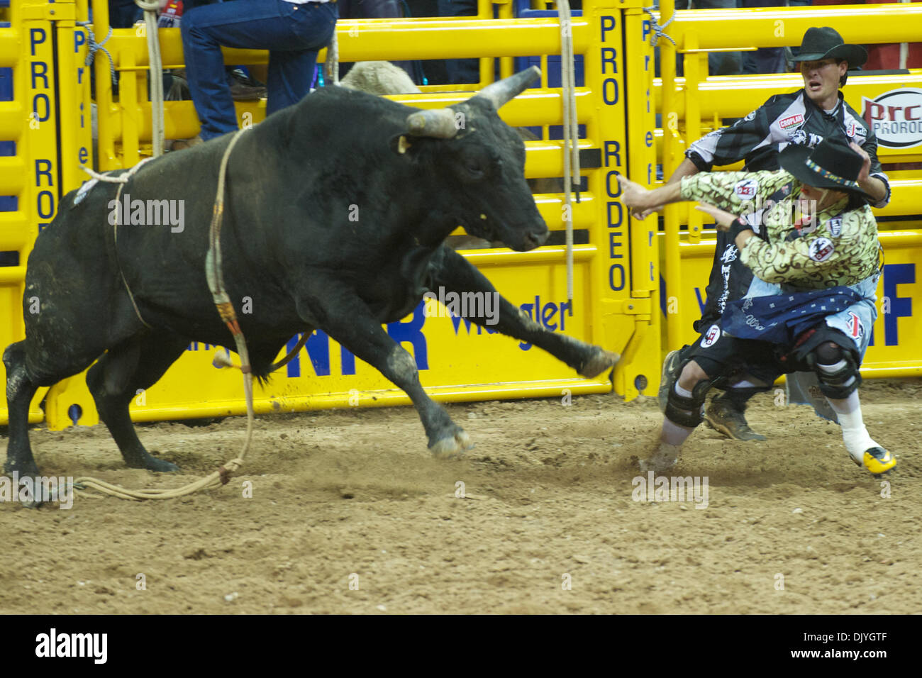 2 décembre 2010 - Las Vegas, Nevada, United States of America - Torero batailles poussiéreux Tuckness Black Cat au cours de la première à l'Wrangler 2010 National Finals Rodeo au Thomas & Mack Center. (Crédit Image : © Matt Cohen/ZUMAPRESS.com) Southcreek/mondial Banque D'Images