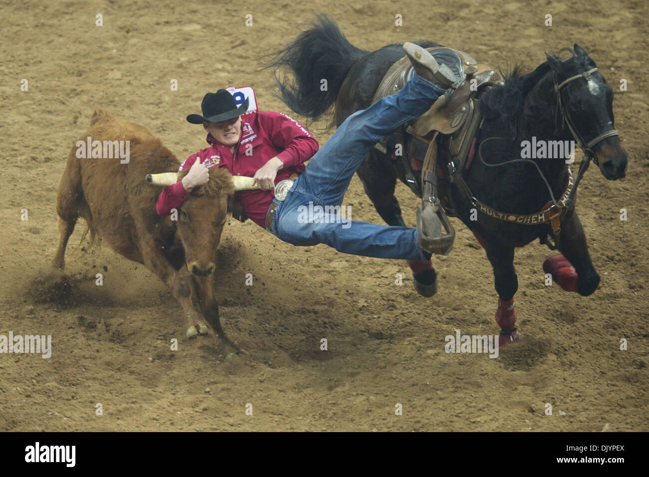 Le 5 décembre, 2010 - Las Vegas, Nevada, United States of America - Steer wrestler Cody Cassidy de Donalda, Alberta, Canada a mis en place un temps de 4,80 au cours de la quatrième à la Wrangler 2010 National Finals Rodeo au Thomas & Mack Center. (Crédit Image : © Matt Cohen/ZUMAPRESS.com) Southcreek/mondial Banque D'Images