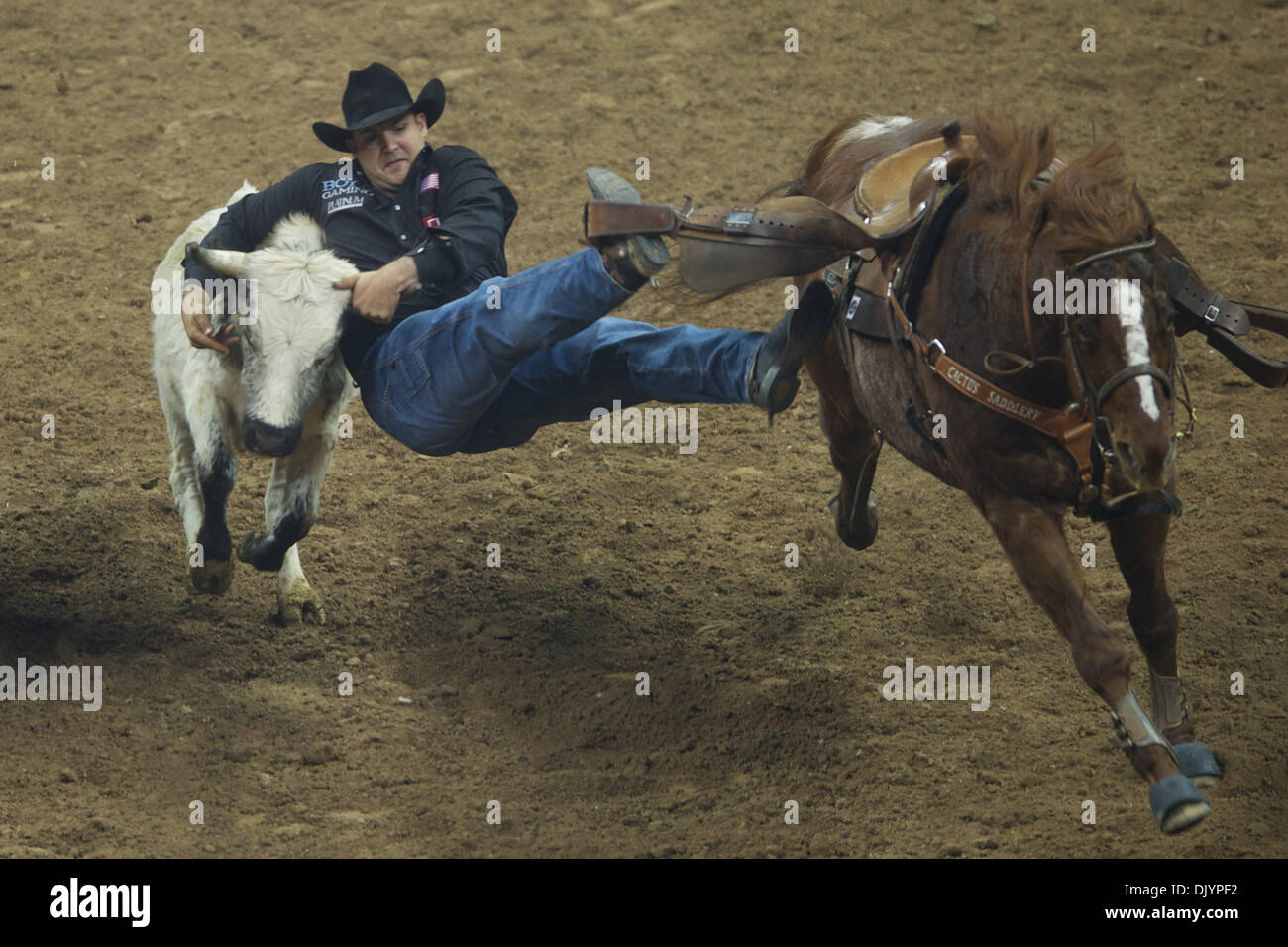 Le 5 décembre, 2010 - Las Vegas, Nevada, United States of America - Steer wrestler Luc Branquinho de Los Alamos, CA mis en place un temps de 5,00 au cours de la quatrième à la Wrangler 2010 National Finals Rodeo au Thomas & Mack Center. (Crédit Image : © Matt Cohen/ZUMAPRESS.com) Southcreek/mondial Banque D'Images