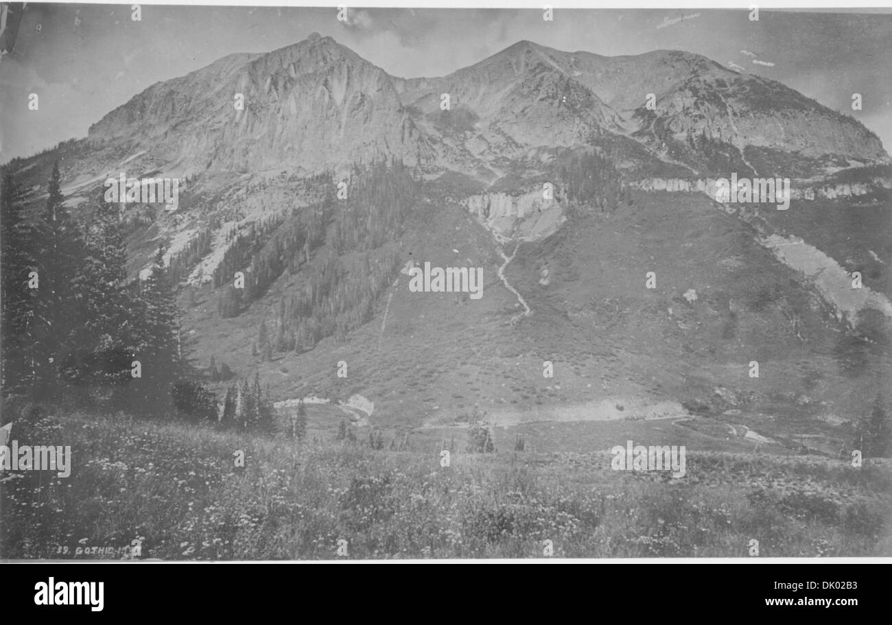 Face est de la montagne Gothique, le wapiti des montagnes. Gunnison Comté (Colorado). 517010 Banque D'Images