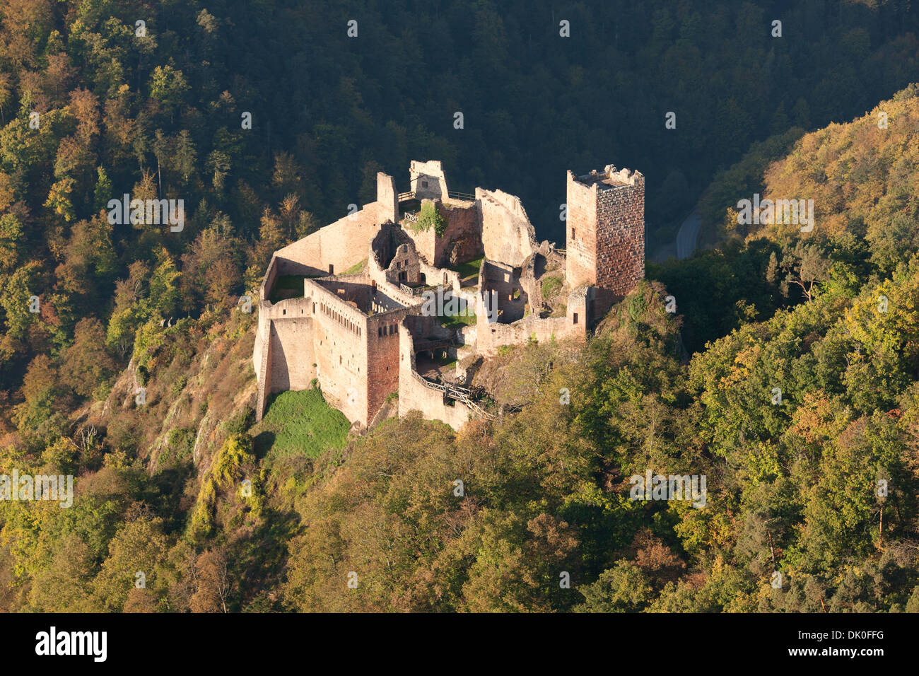 VUE AÉRIENNE.Château abandonné dans les Vosges de l'est.Château de Saint-Ulrich, Ribeauvillé, Haut-Rhin, Alsace, Grand est,France. Banque D'Images