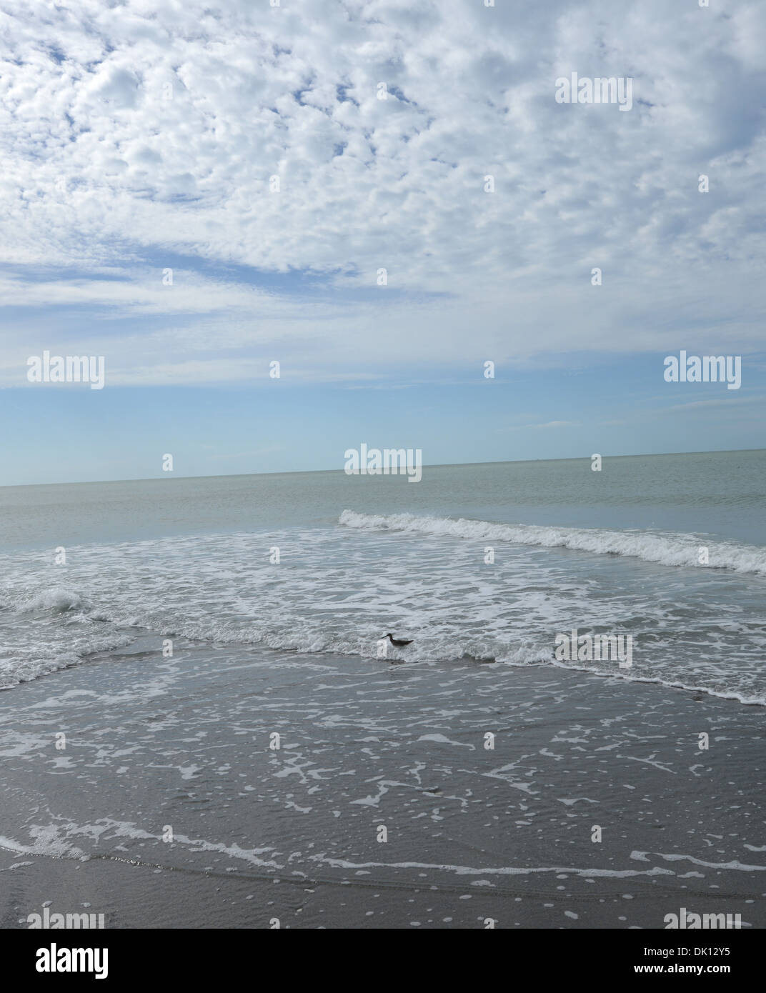 Avis de Turtle Beach, Siesta Key, en Floride. Banque D'Images Avis de Turtle Beach, Siesta Key, en Floride. Banque D'Images