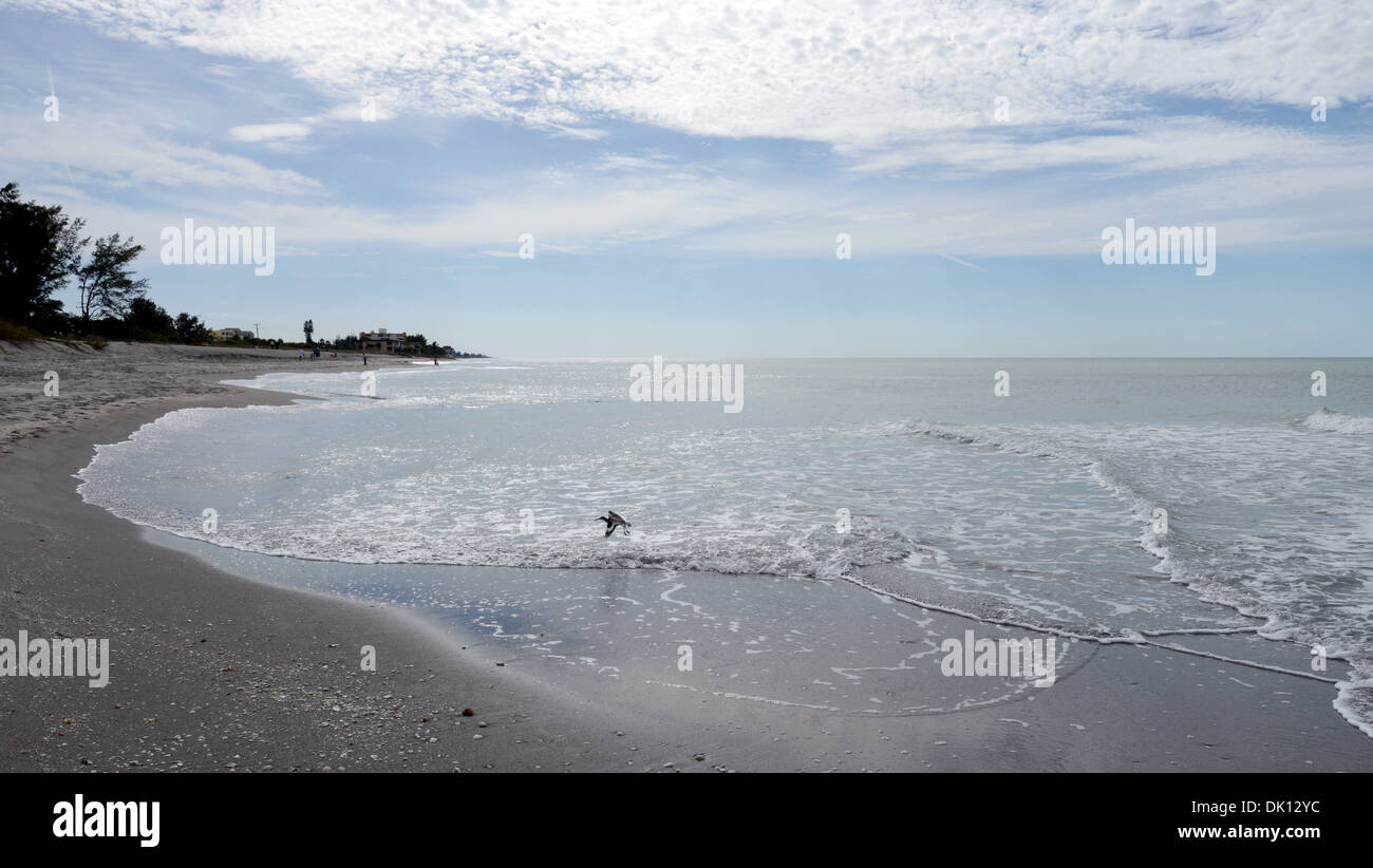 Avis de Turtle Beach, Siesta Key, en Floride. Banque D'Images Avis de Turtle Beach, Siesta Key, en Floride. Banque D'Images