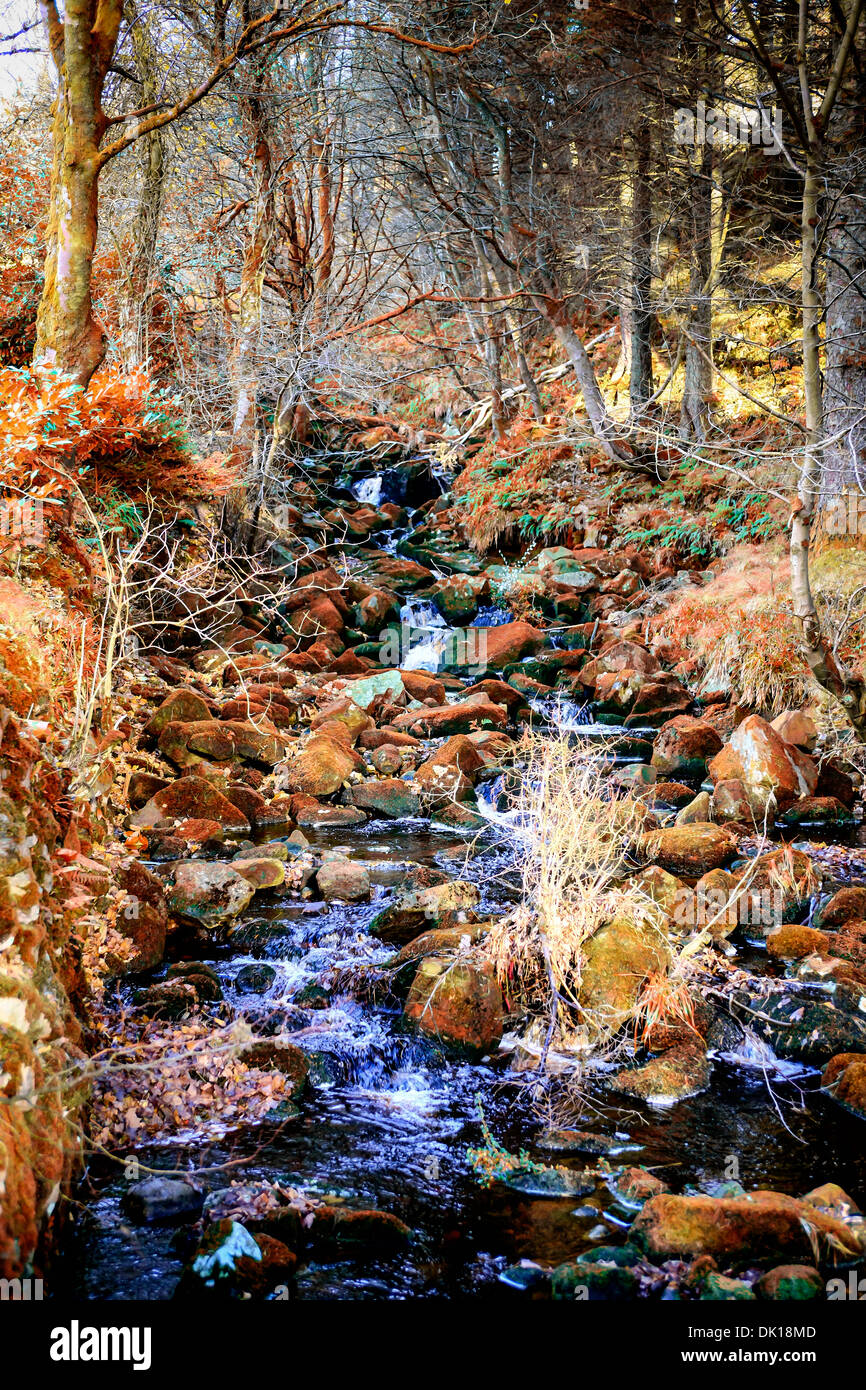 Une petite cascade dans les montagnes de Wicklow de l'Irlande à l'automne Banque D'Images