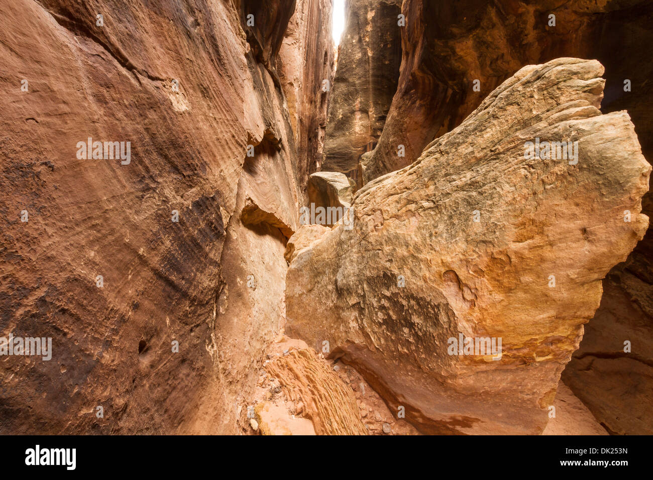 Gros rochers dans l'emplacement dans le canyon Trail Aiguilles distant District de Canyonlands National Park, Utah Banque D'Images