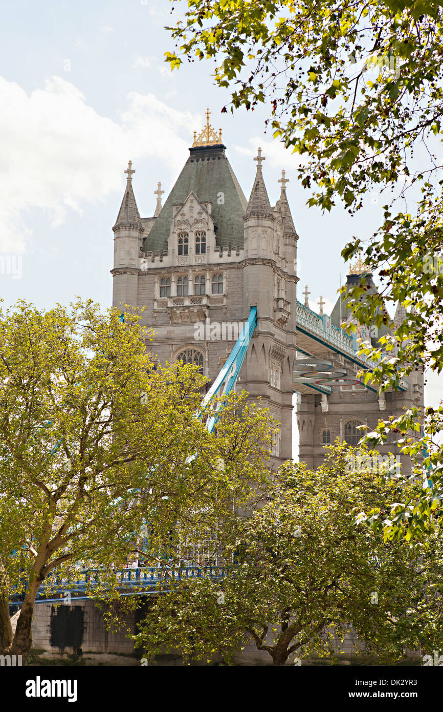 Arbres devant le Tower Bridge, Londres, Angleterre, Royaume-Uni Banque D'Images