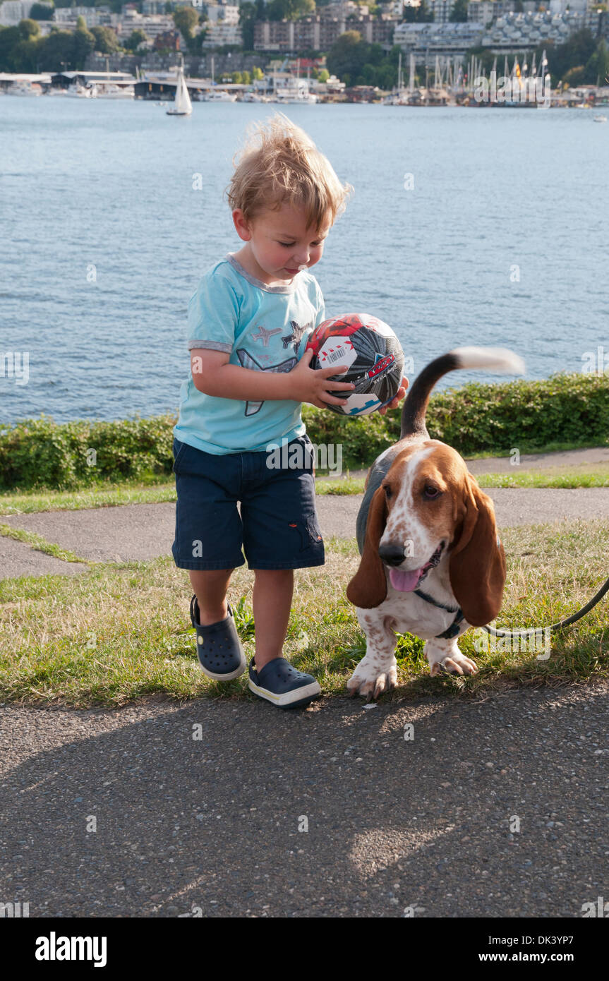 Little boy playing with dog, Seattle, État de Washington, USA Banque D'Images