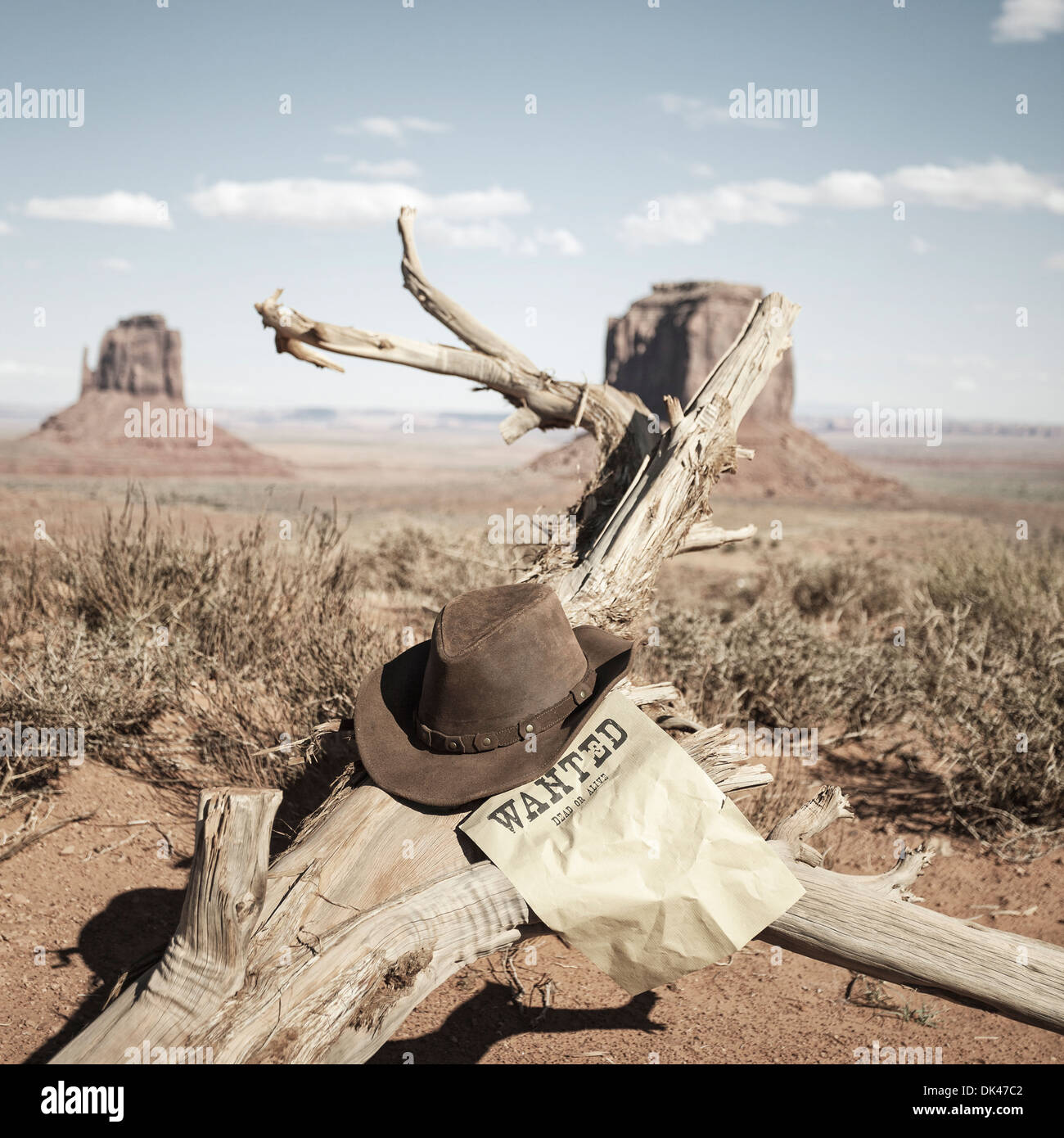 Chapeau brun en face de Monument Valley, USA Banque D'Images