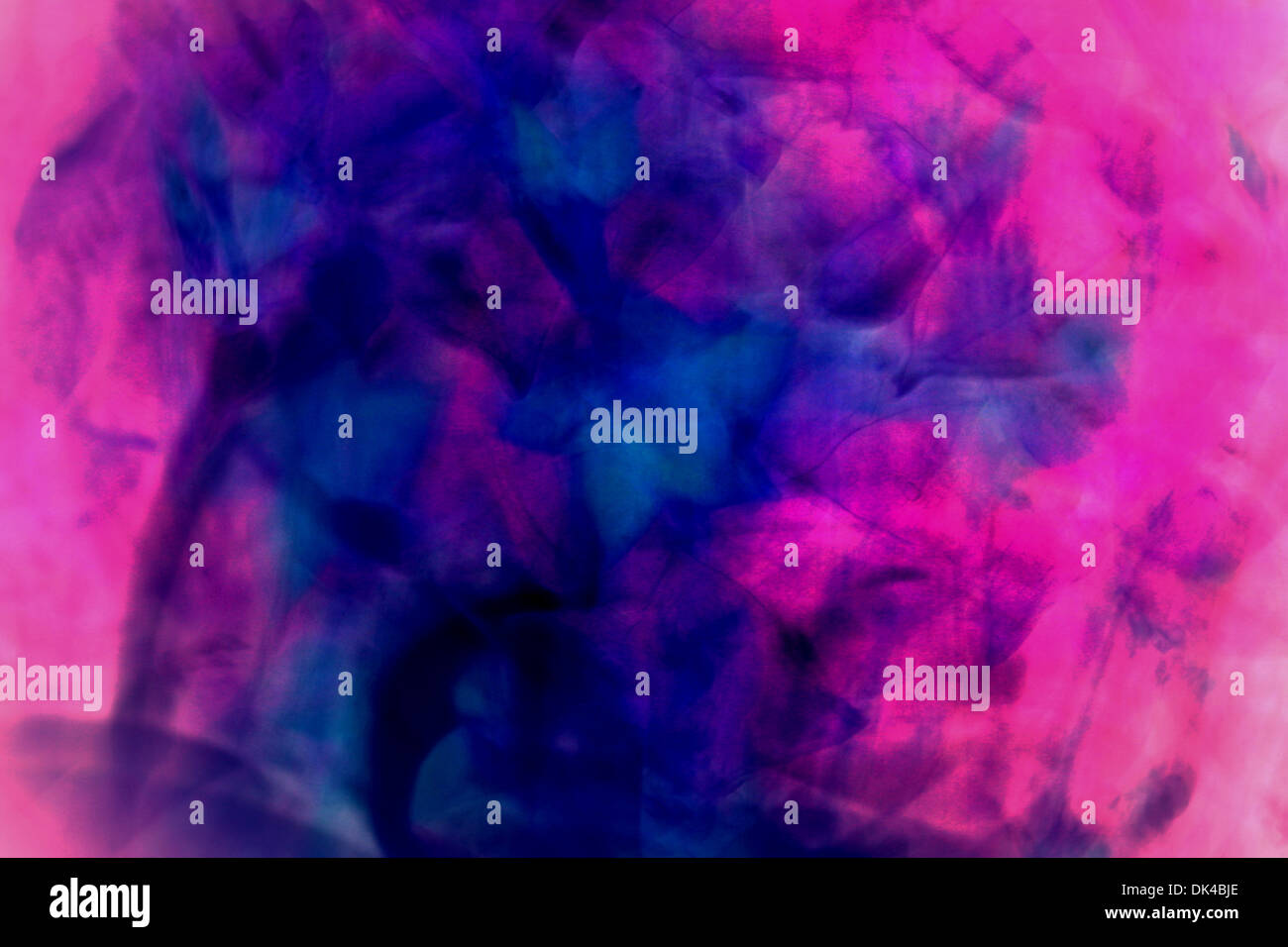 Explosion de couleurs avec motif feuilles Banque D'Images