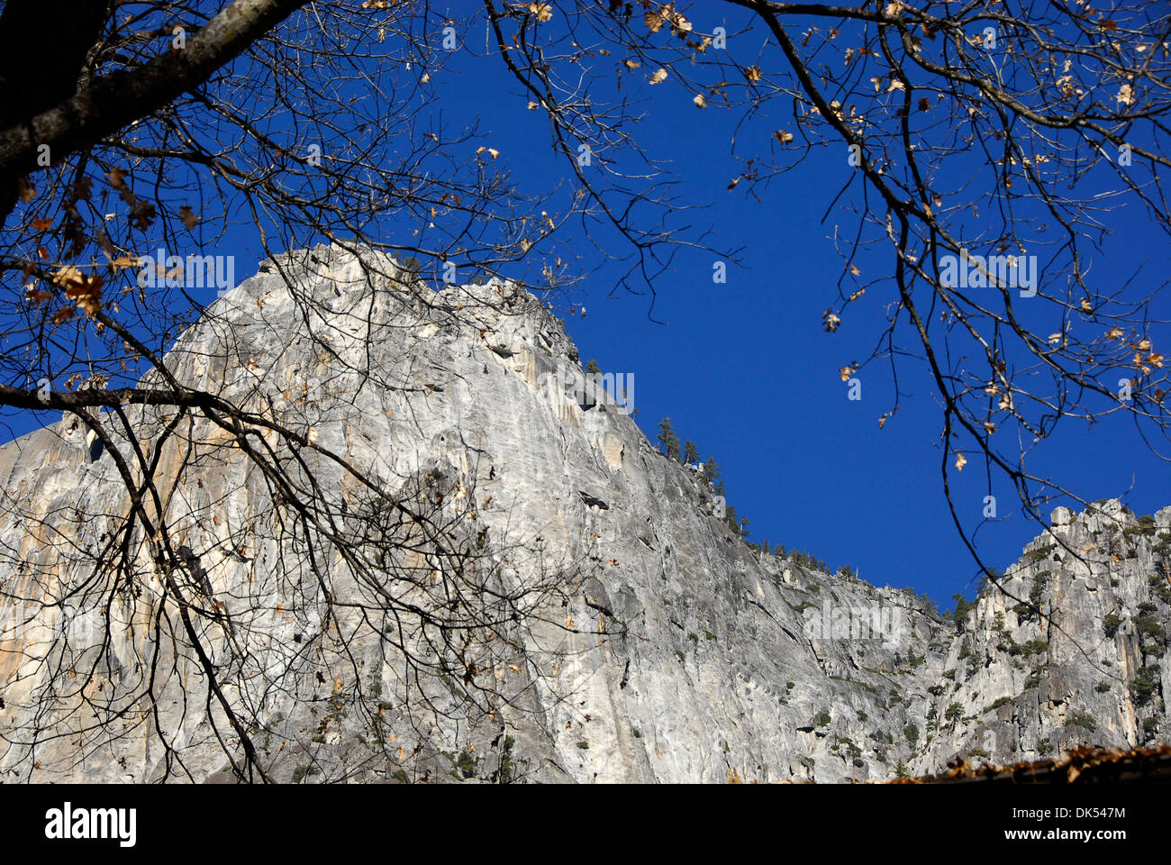 Falaises de granit à Yosemite National Park en Californie Banque D'Images