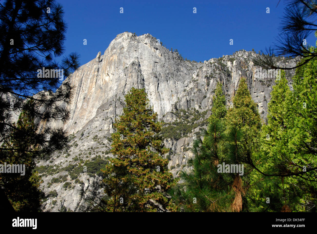 Falaises de granit à Yosemite National Park en Californie Banque D'Images