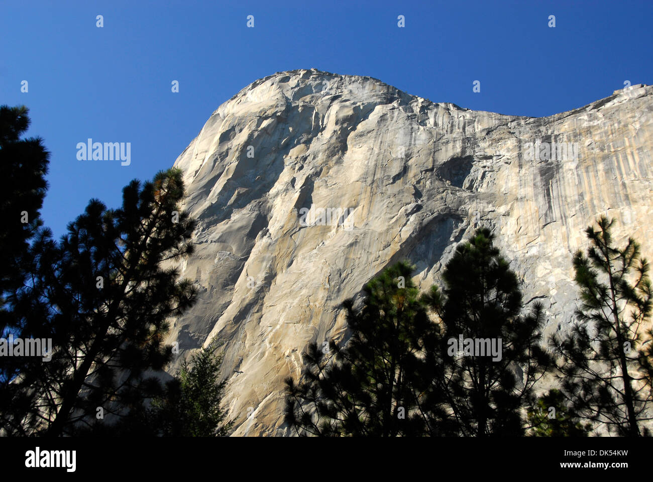 Falaises de granit à Yosemite National Park en Californie Banque D'Images