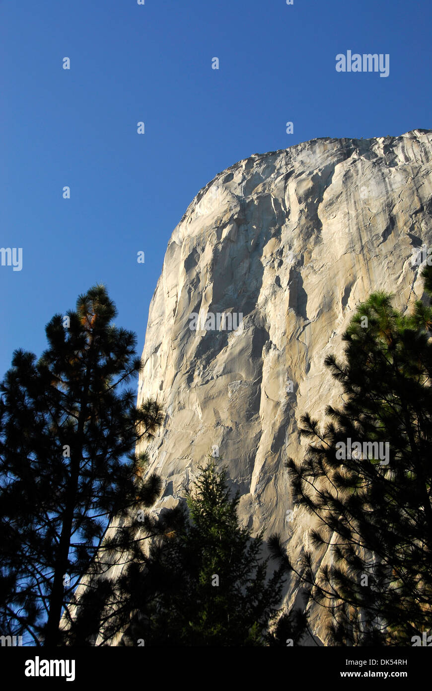 Close up of El Capitan, le plus grand monolithe de granit au monde dans le Parc National de Yosemite en Californie Banque D'Images