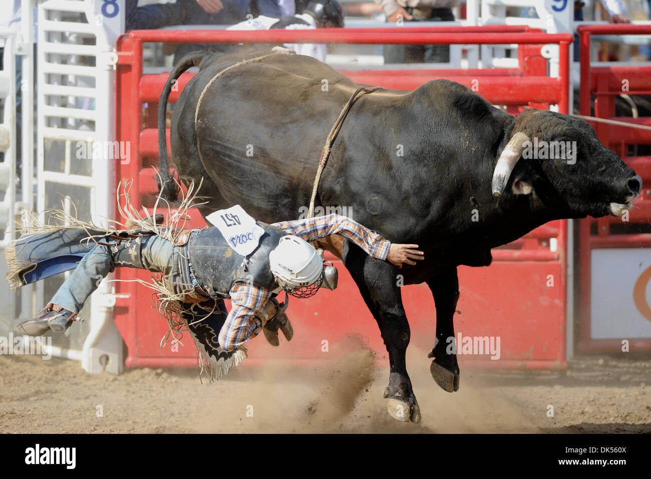 23 avril 2011 - Clovis, en Californie, États-Unis - Scott Brady Williams de Snelling, CA s'effectue au large de Smokin' Aces au rodéo de Clovis. (Crédit Image : © Matt Cohen/ZUMAPRESS.com) Southcreek/mondial Banque D'Images