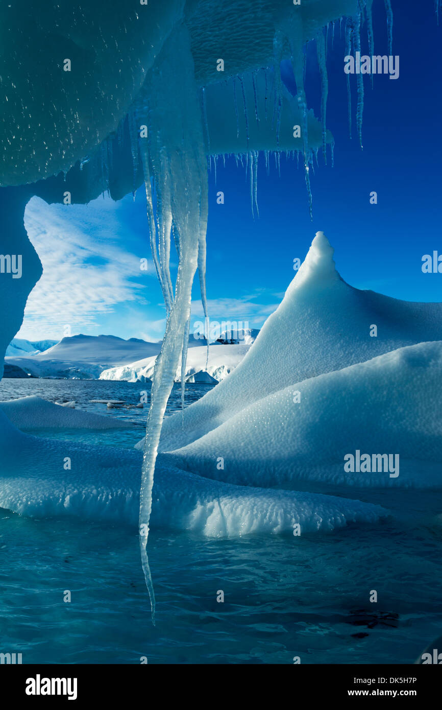 L'antarctique, les glaçons pendent à iceberg flottant près de l'île d'entreprise dans le long de la baie Wilhelmina Péninsule Antarctique à l'aube Banque D'Images