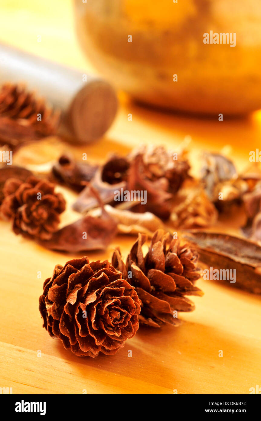 Quelques pommes de pin et de fleurs séchées et des feuilles sur une table et un bol chantant tibétain dans l'arrière-plan Banque D'Images