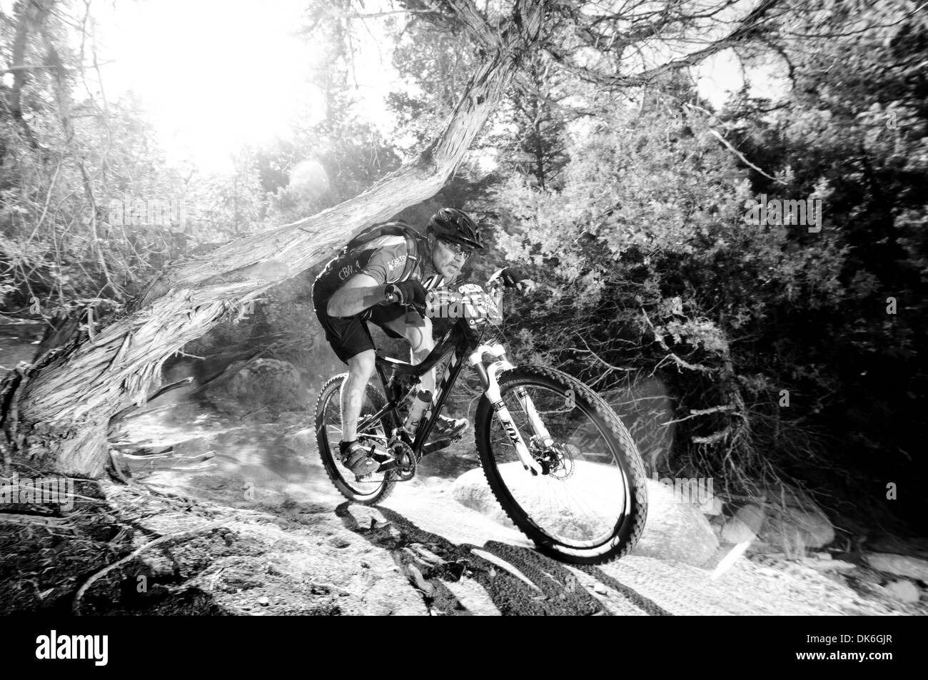 29 mai 2011 - Gunnison, Colorado, États-Unis - Le Great Duck-a-tree sur le col du crâne, roches Hartman Gunnison, Colorado pendant l'Original Grognard 64 mile course.. (Crédit Image : © Braden/ZUMAPRESS.com) Gunem Banque D'Images