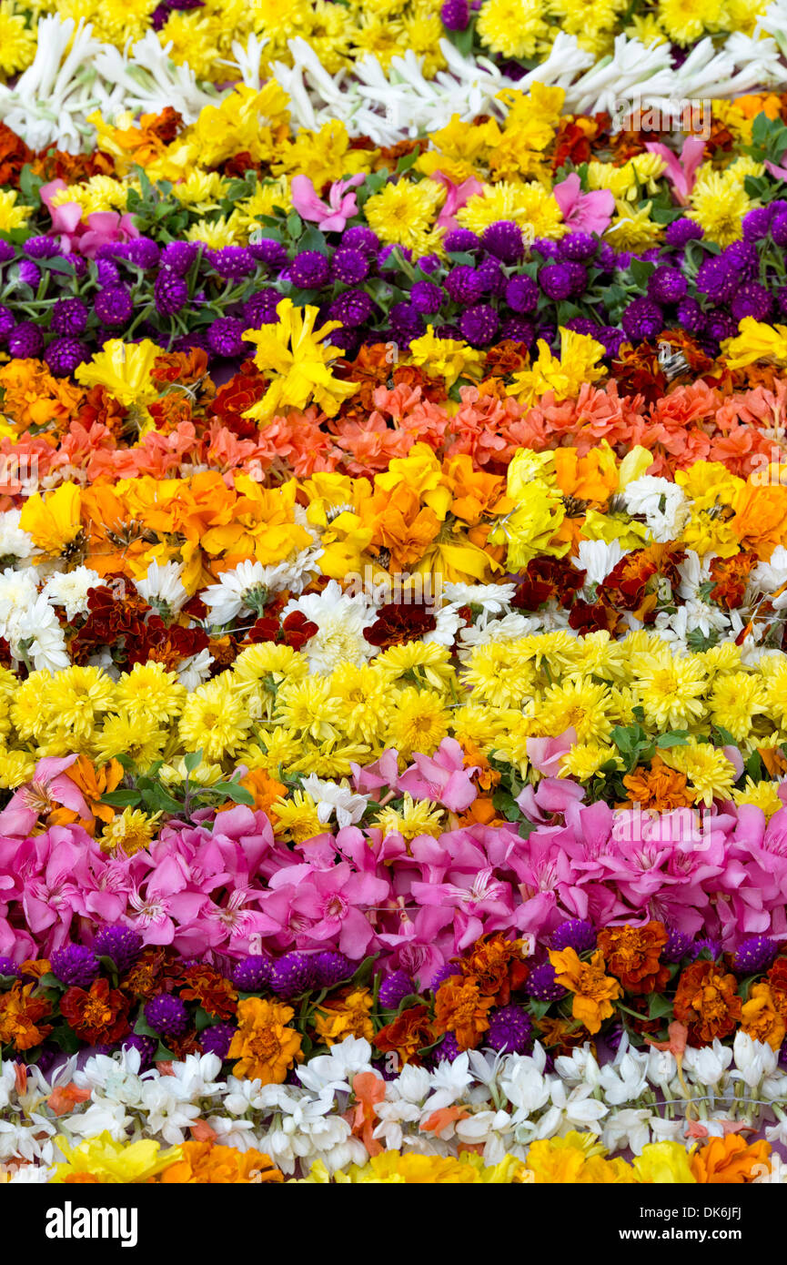 Des guirlandes de fleurs colorées modèle indien Banque D'Images