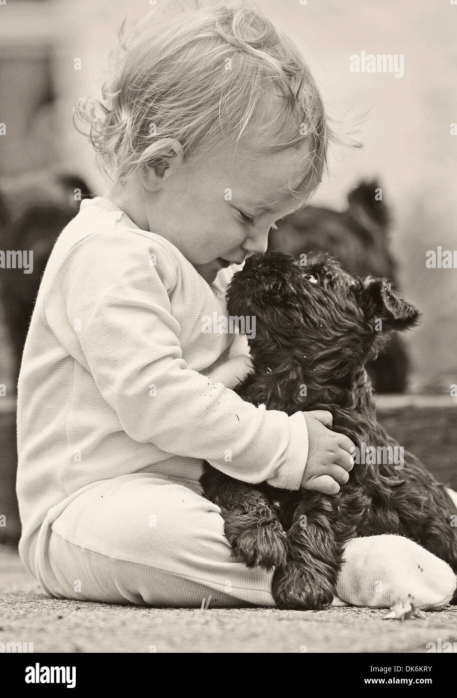 2e Place Finaliste dans le meilleur ami de l'homme catégorie Photo prise par Catherine MacGregor Gagnants du Kennel Club de photographe Banque D'Images