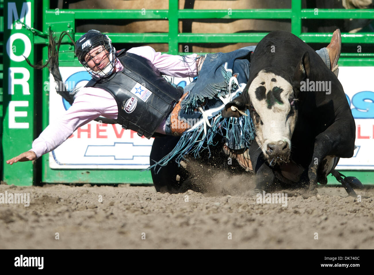 12 juin 2011 - Livermore, Livermore, Californie, Californie, États-Unis, États-Unis - Tchad Denton de Berry Creek, CA s'effectue au large de Frampton à la 93e rodéo annuel Livermore au Robertson Park à Livermore, CA. (Crédit Image : © Matt Cohen/ZUMAPRESS.com) Southcreek/mondial Banque D'Images