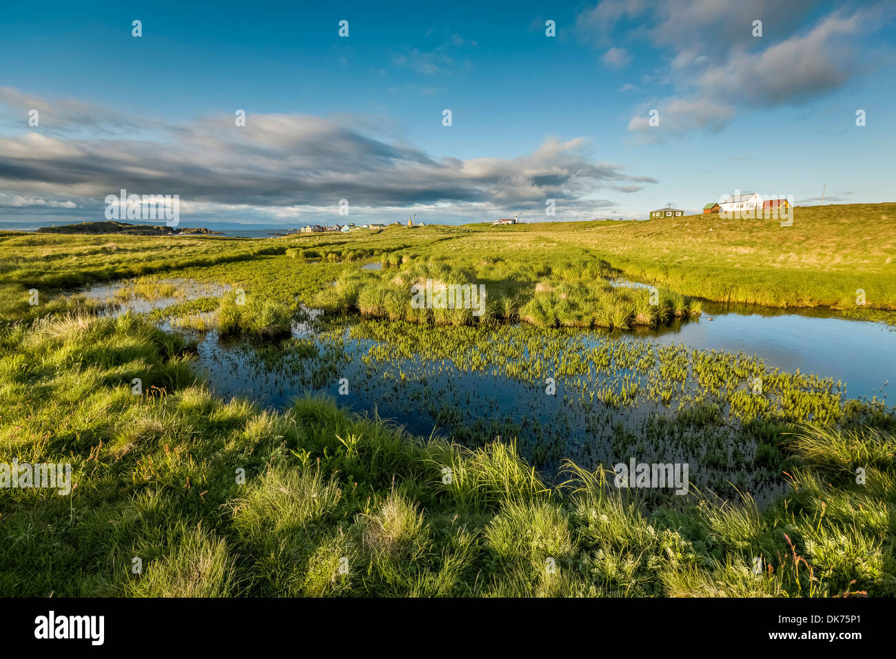 Marais et maisons d'été, l'île de Flatey, Breidafjordur, Islande Banque D'Images