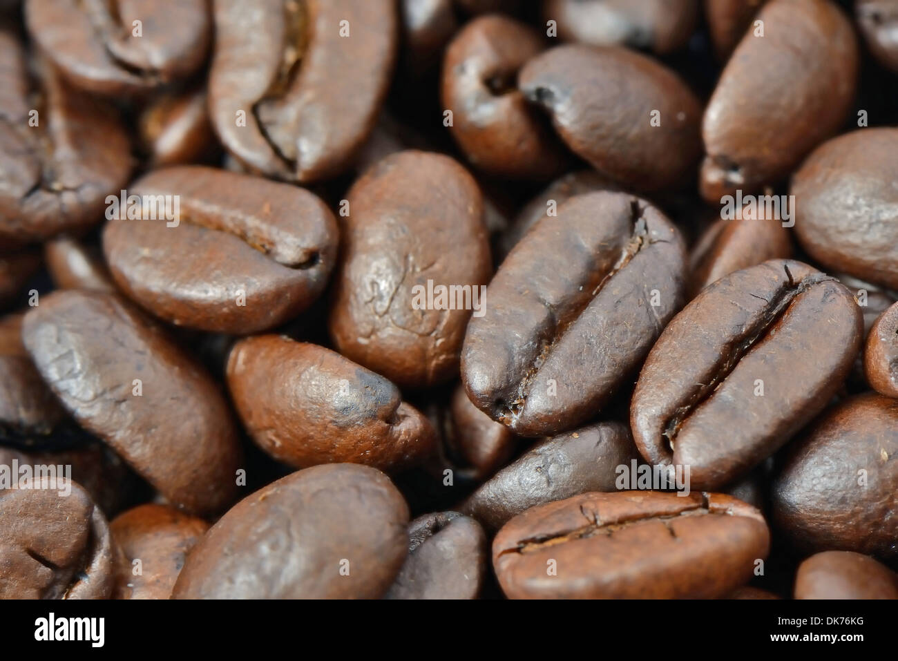Gros plan du café torréfié Banque D'Images