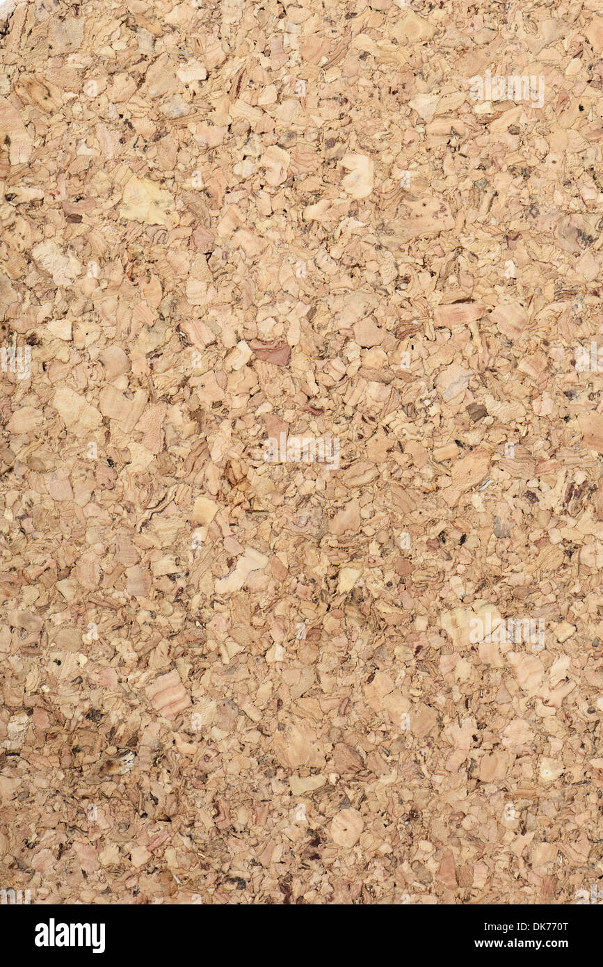 Gros plan du motif Cork board Banque D'Images