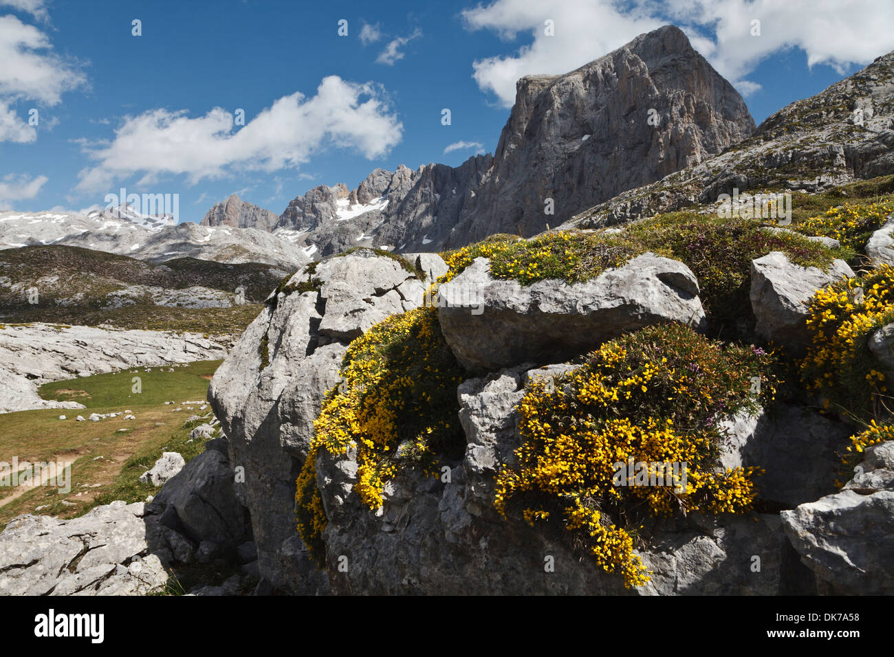 Picos de Europa, Cantabria, ESPAGNE Banque D'Images