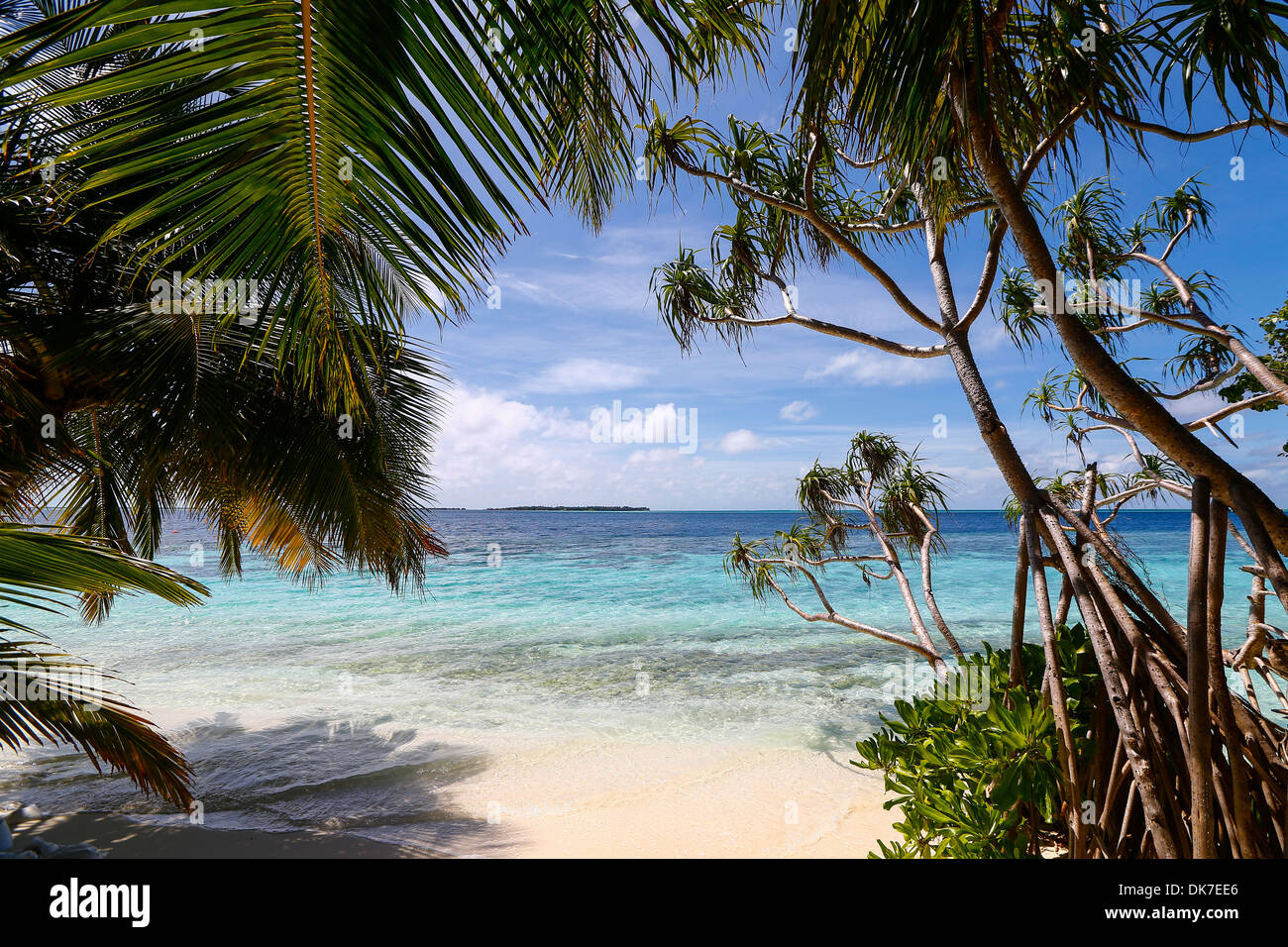 Bounty Island avec sable blanc et bleu clair de l'eau sur les maldives avec beaucoup de palmiers, ressemble à Paradise Banque D'Images
