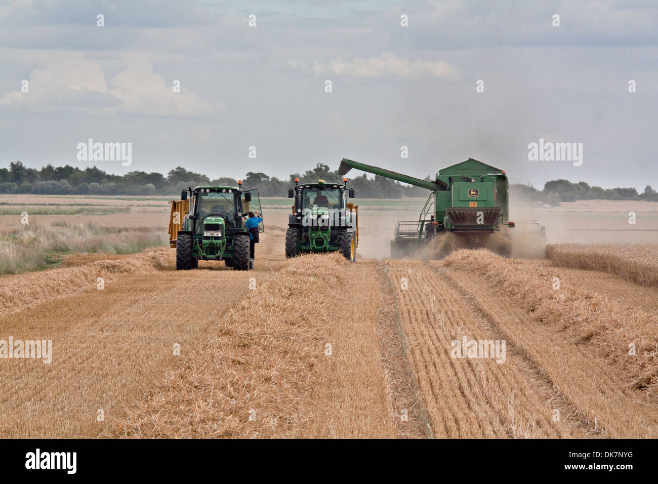 Tracteurs et moissonneuses-batteuses au travail. Banque D'Images