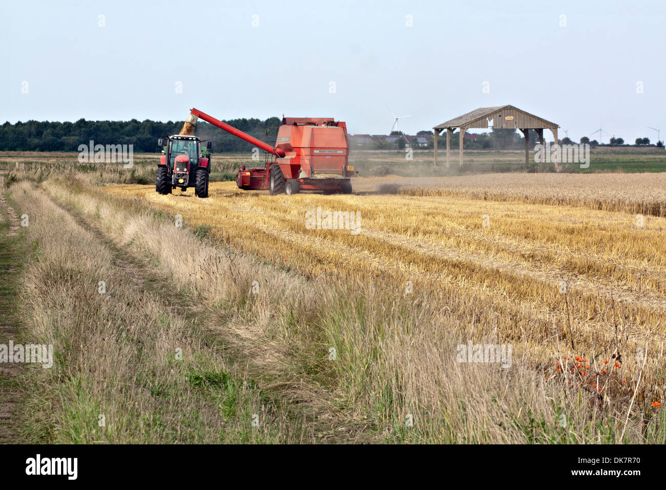 Moissonneuse-batteuse sur champ de chaume s'acquitter au tracteur/remorque Banque D'Images