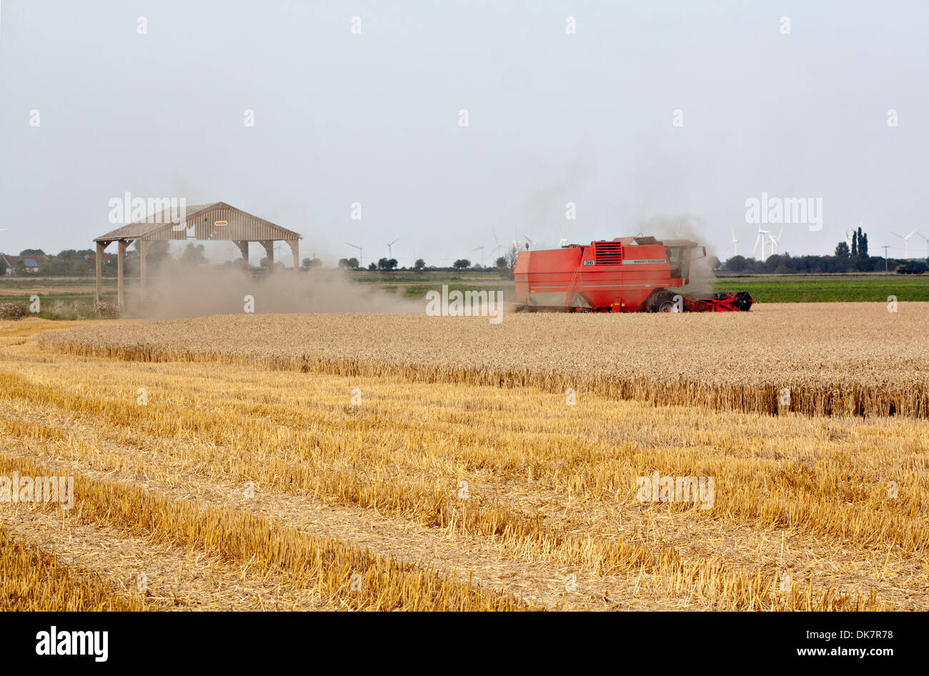 Moissonneuse-batteuse s'éloigner en nuage de poussière ; le chaume en premier plan Banque D'Images