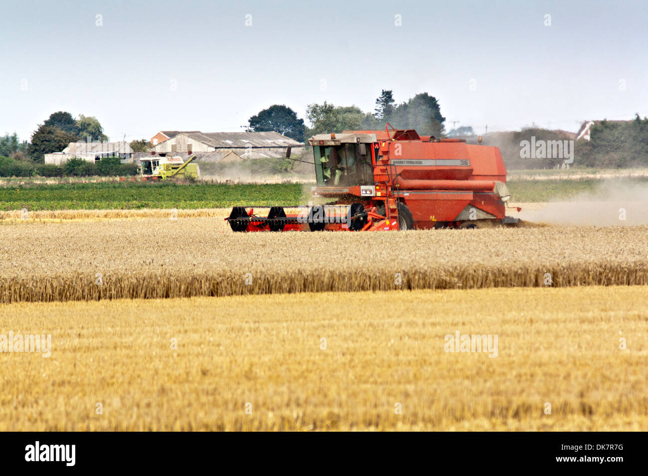 Moissonneuse-batteuse au travail à travers le champ de blé Banque D'Images