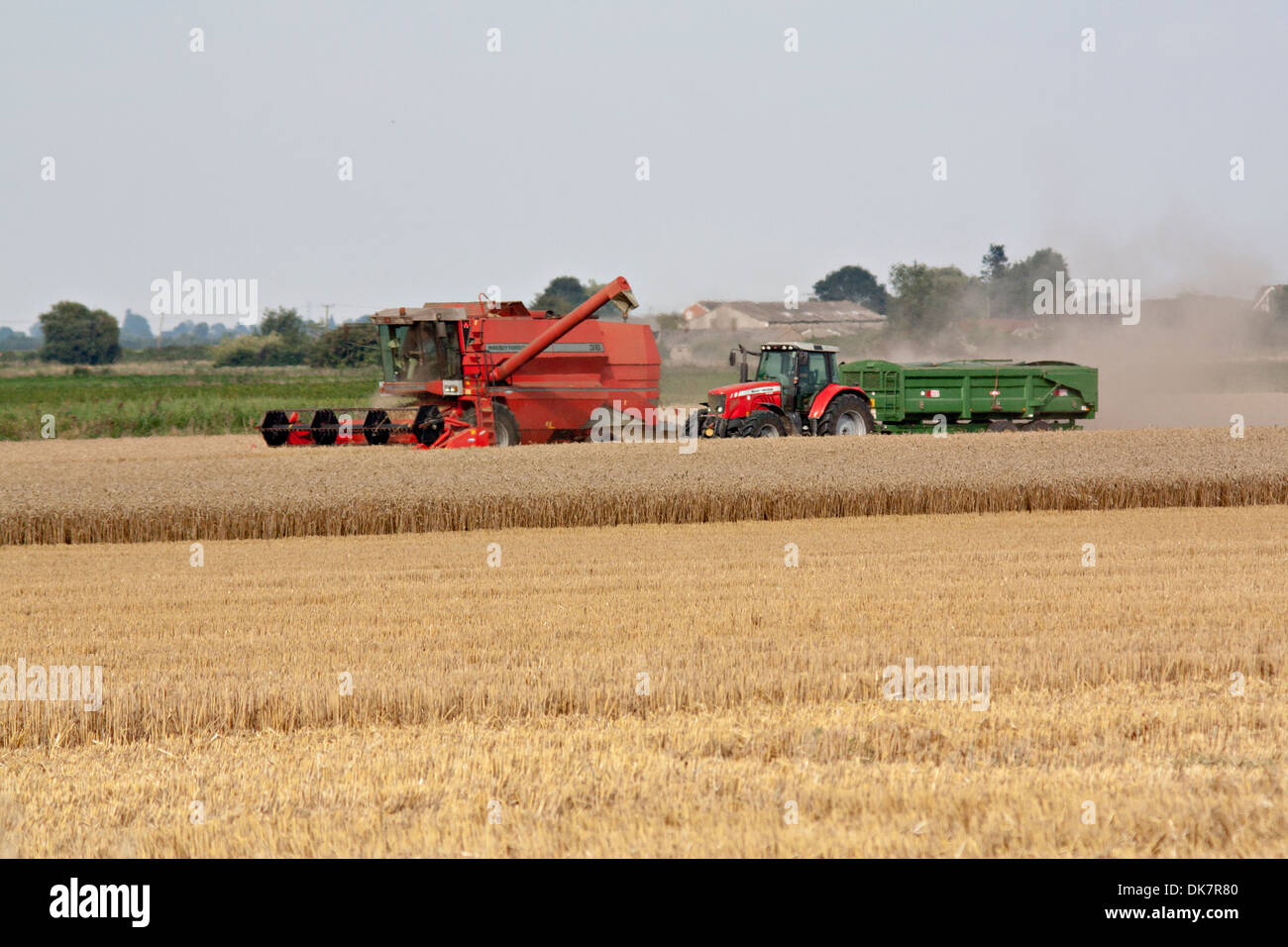 À travers champ récolté à combiner avec l'approche tracteur/remorque Banque D'Images