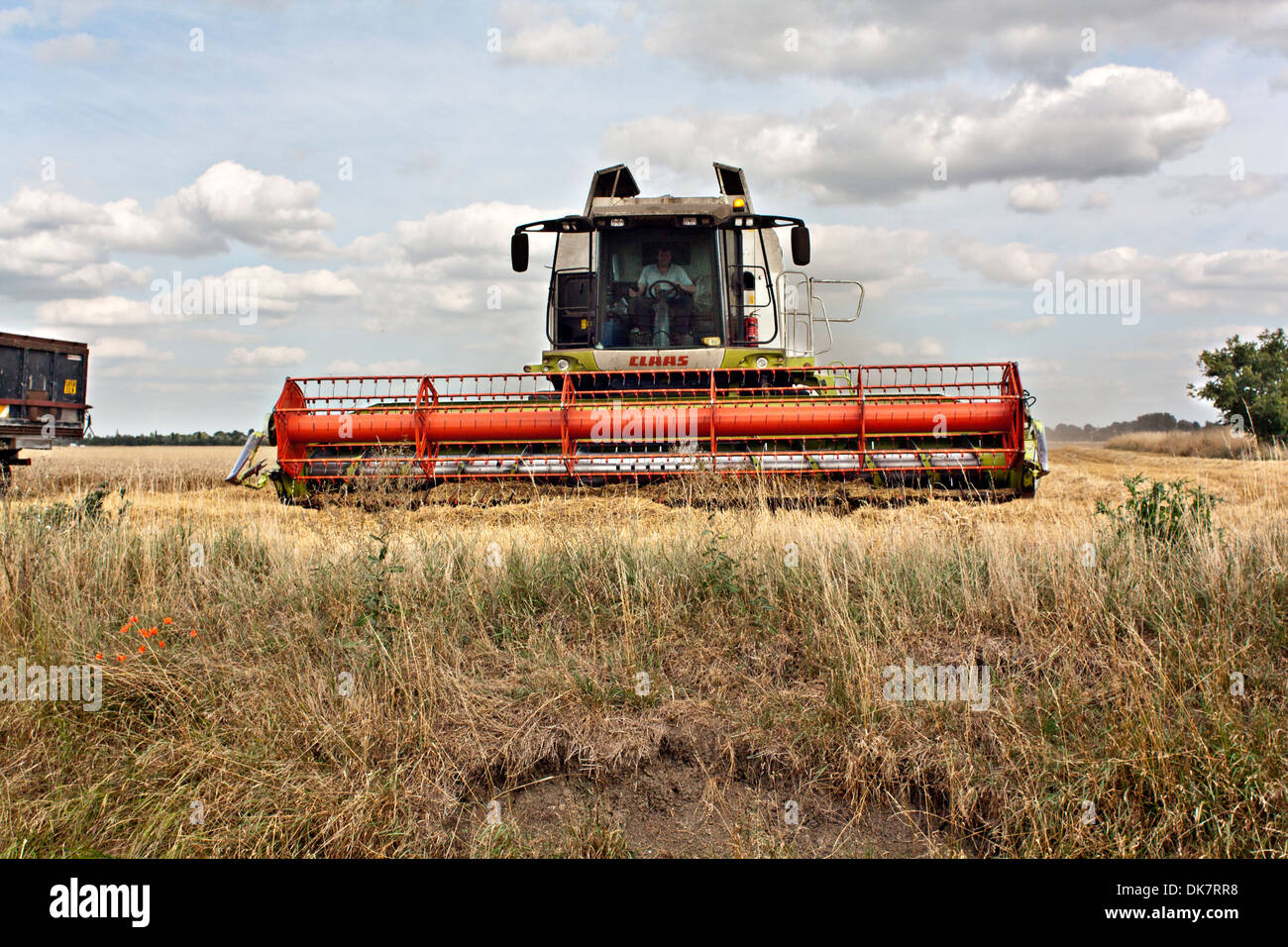 Moissonneuse-batteuse Claas lame close up Banque D'Images