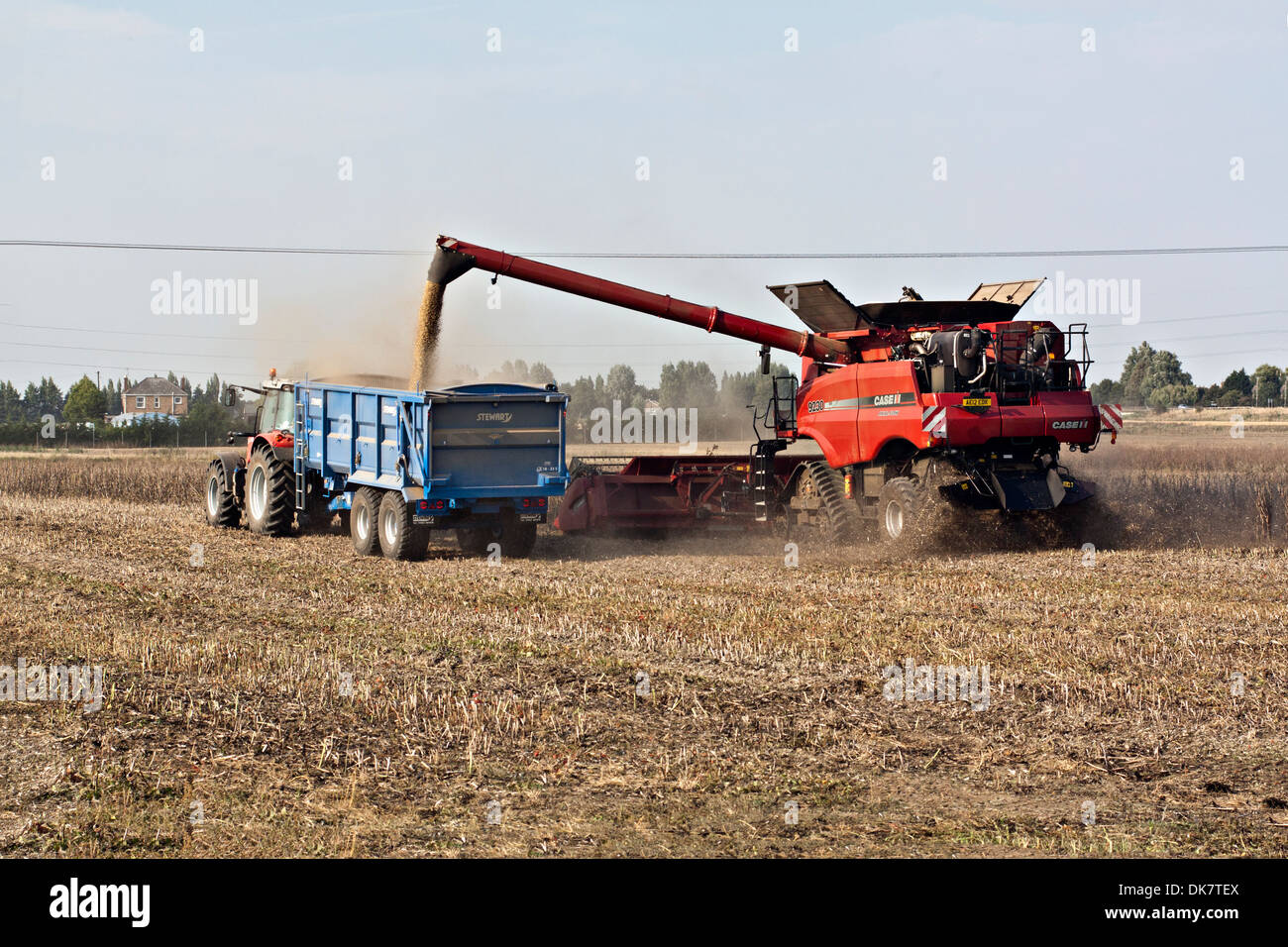 Cas combiner au travail, se déversant dans le trailer Banque D'Images
